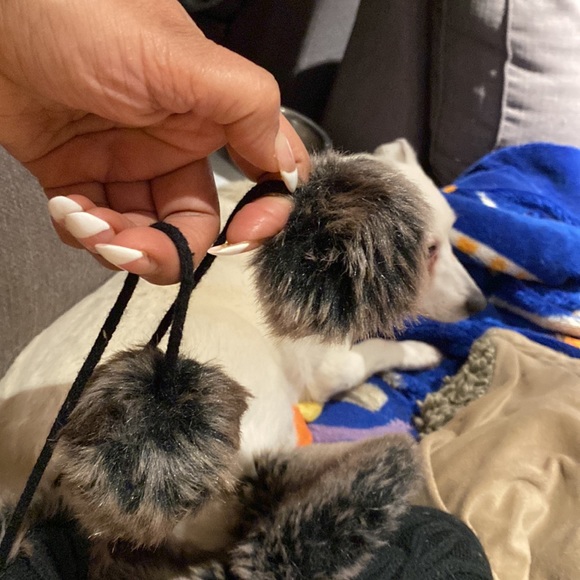 Parkahurst - Picture 7 of 9